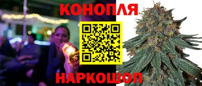 круглые Будённовск