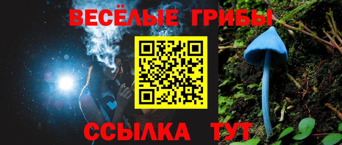 Уфа  хочу   Вход с VPN  Псилоцибиновые грибы прущие грибы 