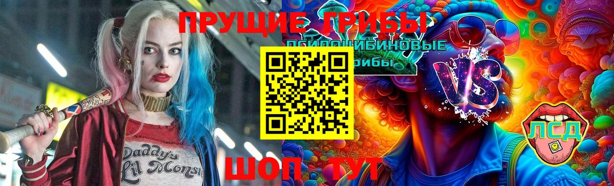 Галлюциногенные грибы Cubensis Уфа